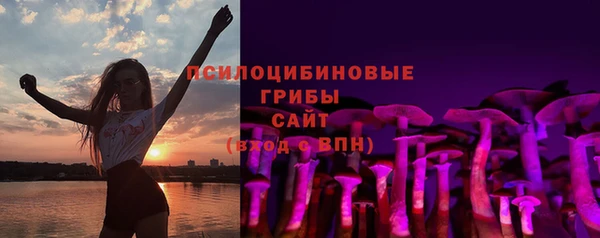 ешки Арсеньев