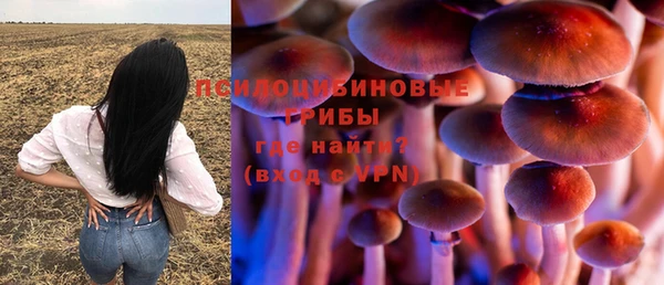 ешки Арсеньев