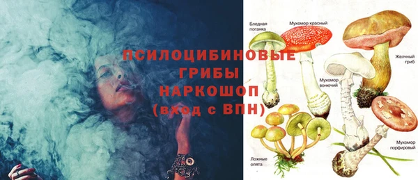 ешки Арсеньев